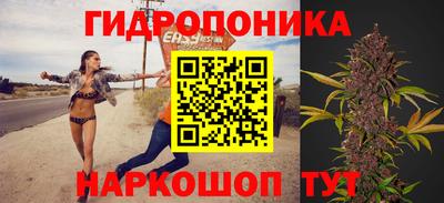 сатива Усть-Джегута