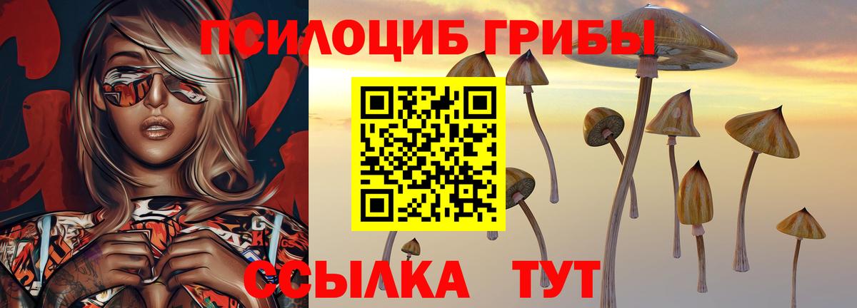 Псилоцибиновые грибы прущие грибы Барнаул